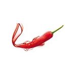 Capsicum Baccatum