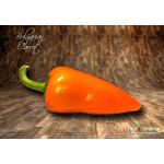 Bulgarian Carrot