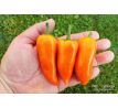 Bulgarian Carrot