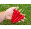 Cayenne Long Red Slim