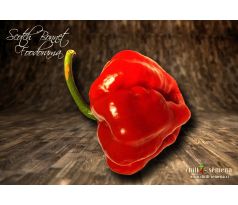 Scotch Bonnet Foodorama