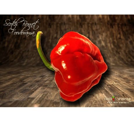 Scotch Bonnet Foodorama