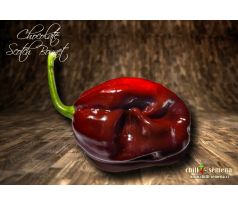 Chocolate Scotch Bonnet