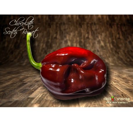 Chocolate Scotch Bonnet