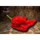 7 Pot Barrackpore
