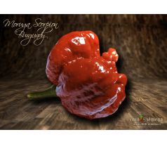 Moruga Scorpion Burgundy