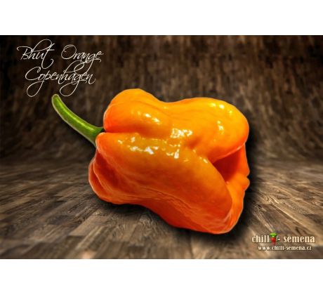 Bhut Orange Copenhagen