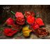 Kolekce 7 Pot chilli