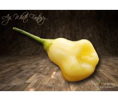 Aji White Fantasy