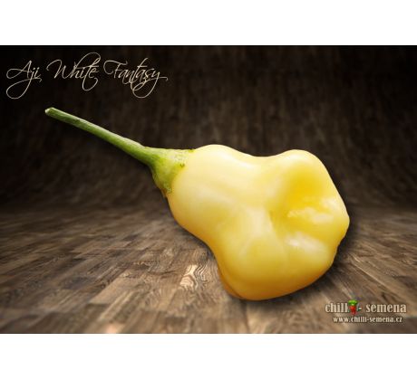 Aji White Fantasy