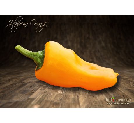 Jalapeno Orange