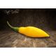 Datil Yellow