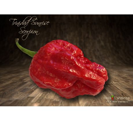 Trinidad Sunrise Scorpion