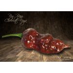 Big Bang Chocolate Naga