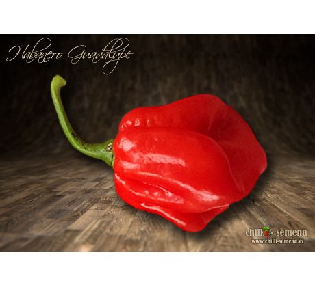 Habanero Guadalupe