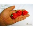 Trinidad Moruga Scorpion Red UV