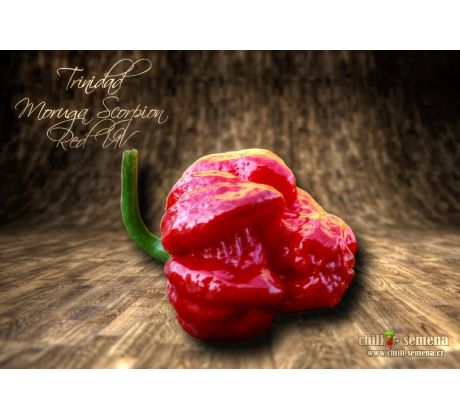 Trinidad Moruga Scorpion Red UV