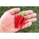 Cayenne Purple Chilli