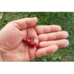 Purple Flash Chilli