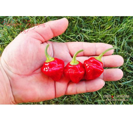 Habanero Tasmanian Red