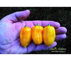 Habanero Yellow