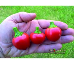 Large Red Cherry