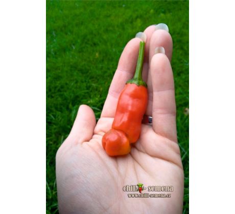 Red Peter Penis Pepper