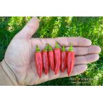 Twilight chilli