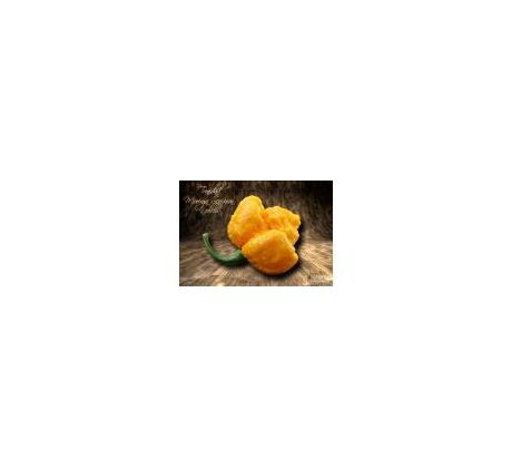 Sazenice Trinidad Moruga Scorpion Yellow