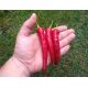 Cayenne Pepper Red