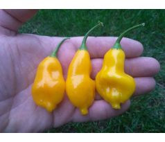 Aji Fantasy Yellow