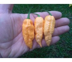 Bhut Jolokia Peach