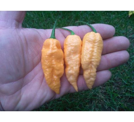 Bhut Jolokia Peach