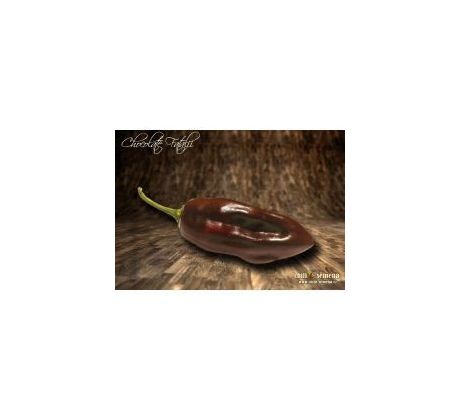 Sazenice Chocolate Fatalii