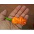 Peter Penis Pepper Orange