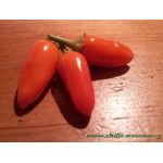 Thanksgiwing Chilli