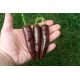 Barbere Coffee Brown