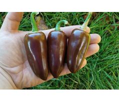 Jalapeno Brown