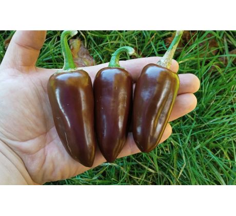 Jalapeno Brown