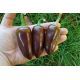 Jalapeno Brown