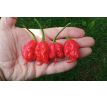 Carolina Reaper HP22B