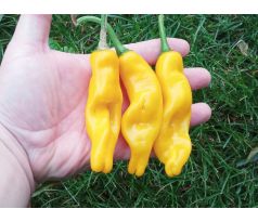 Peter Penis Pepper Yellow