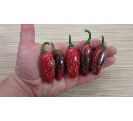 Jalapeno Telica