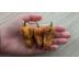Bhut Jolokia Mustard