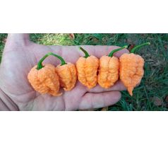 Carolina Reaper Peach