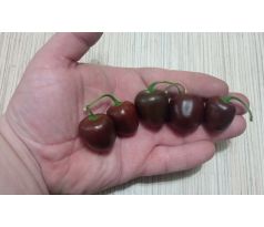 Mini Rocoto Brown