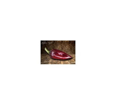 Sazenice Jalapeno Purple