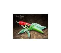 Sazenice Fish Pepper