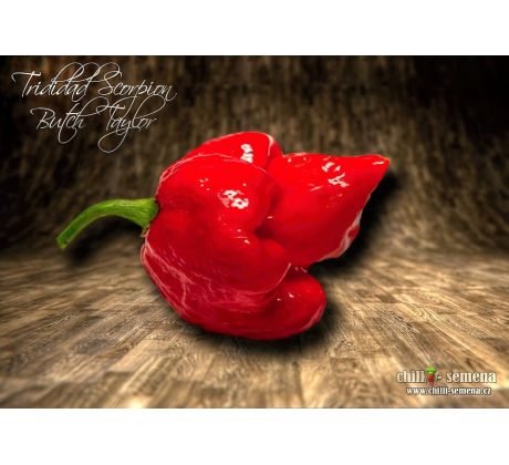 Trinidad Scorpion Butch T