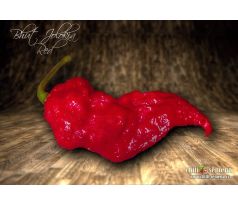 Bhut Jolokia Red